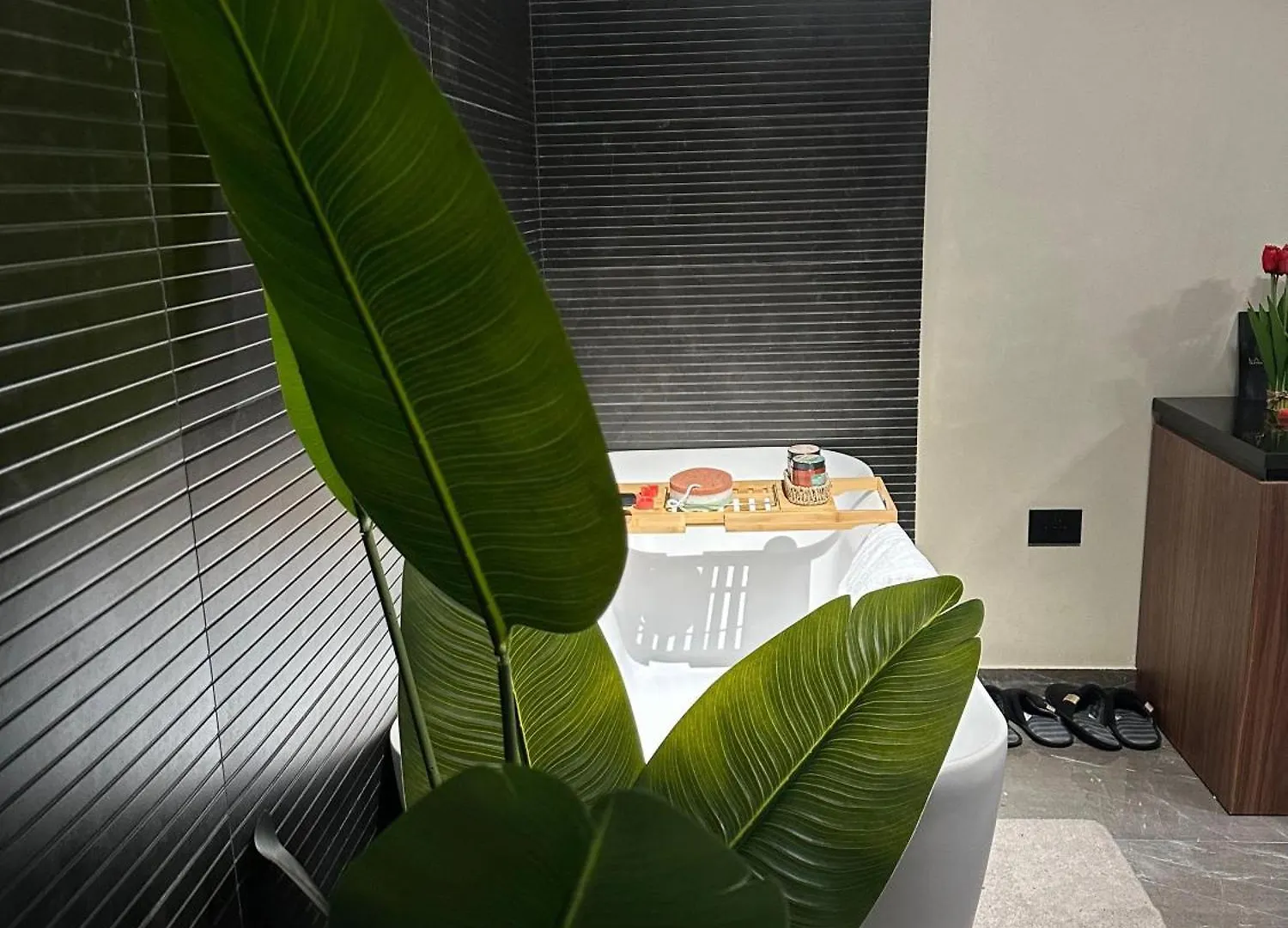 La Mirage Suites & Apartments Tirana Albanien